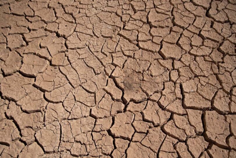 Cracked, dried mud surface in Azraq, Jordan, illustrating extreme water scarcity.