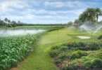 Florida irrigation and golf course landscapes representing water filtration applications in agriculture and turf management