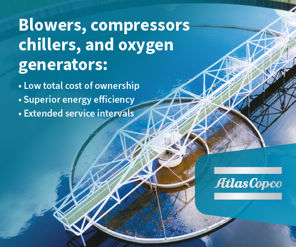 What are some examples of water pollution