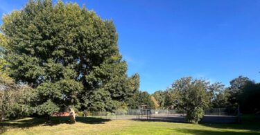 Rushgrove Park Brent Cross where Barhale secures three AMP8 growth schemes