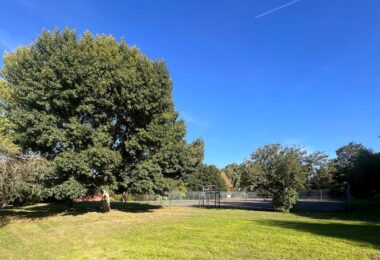 Rushgrove Park Brent Cross where Barhale secures three AMP8 growth schemes