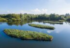 Floating wetland modules improving water quality and biodiversity in a UK reservoir