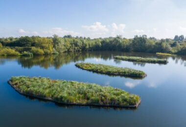 Floating wetland modules improving water quality and biodiversity in a UK reservoir