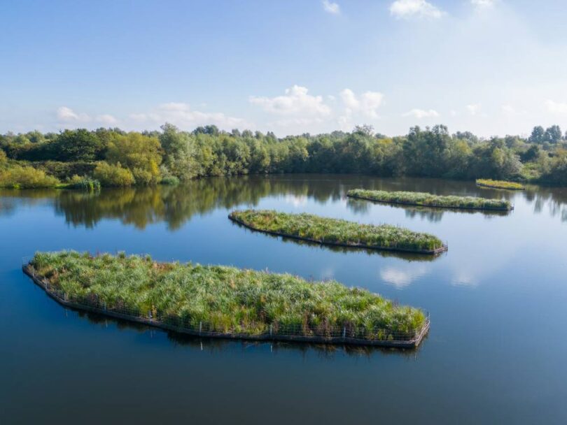 Floating wetland modules improving water quality and biodiversity in a UK reservoir