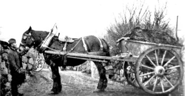 Historic peat cutting linked to Dartmoor peatland restoration showing horse-drawn cart transporting peat on Dartmoor