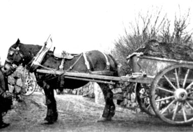 Historic peat cutting linked to Dartmoor peatland restoration showing horse-drawn cart transporting peat on Dartmoor