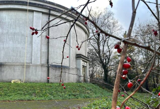 SES Water resilience upgrade at Betchworth Tower water storage tank improving drinking water supply