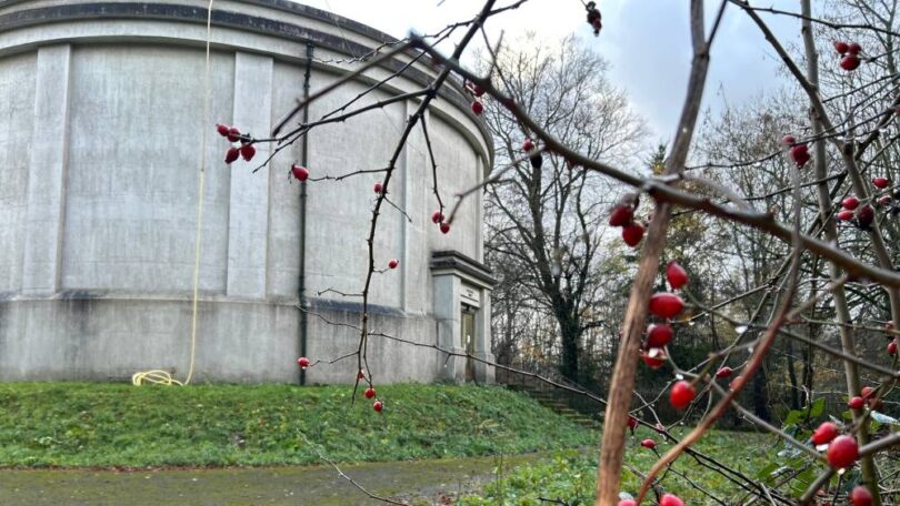 SES Water resilience upgrade at Betchworth Tower water storage tank improving drinking water supply