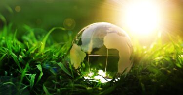 Global environmental innovation concept showing Earth in nature representing sustainability and climate action
