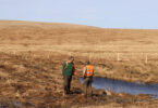 South West Peatland Partnership volunteers restoring peatland habitat on Dartmoor through tree planting and natural water management