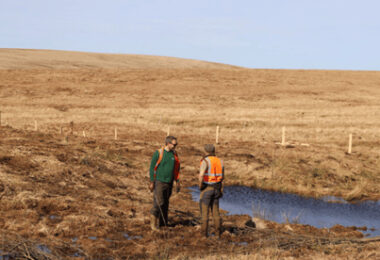 South West Peatland Partnership volunteers restoring peatland habitat on Dartmoor through tree planting and natural water management