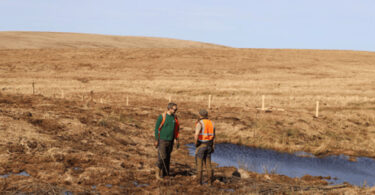 People in high-visibility clothing working on peatland restoration on Dartmoor