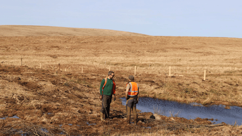 People in high-visibility clothing working on peatland restoration on Dartmoor