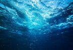 H2O Global News editorial image