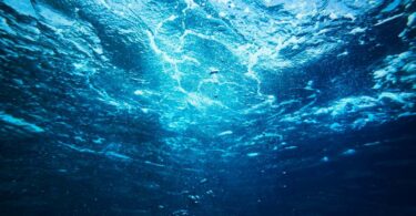 H2O Global News editorial image