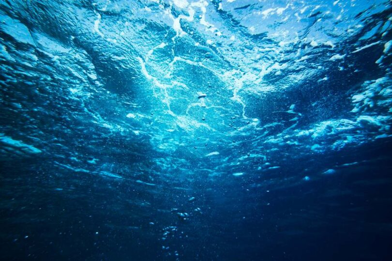 H2O Global News editorial image