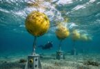 Exowave ExoMare wave-powered desalination system with offshore wave energy converters installed in shallow coastal waters