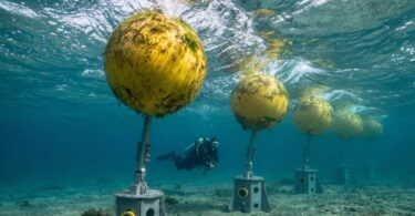 Exowave ExoMare wave-powered desalination system with offshore wave energy converters installed in shallow coastal waters