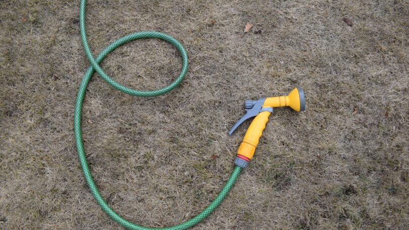 Hosepipe lying on dry grass during hot weather