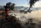 Firefighter spraying water on smoky ground after a wildfire during dry weather