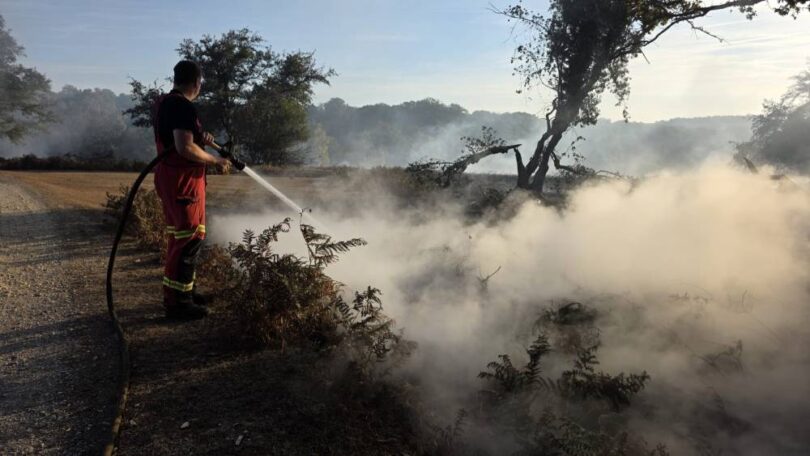 Firefighter spraying water on smoky ground after a wildfire during dry weather
