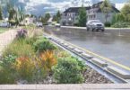 Rain garden beside a road designed to manage surface water runoff