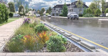 Rain garden beside a road designed to manage surface water runoff