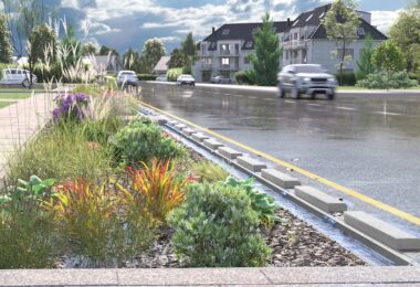 Rain garden beside a road designed to manage surface water runoff