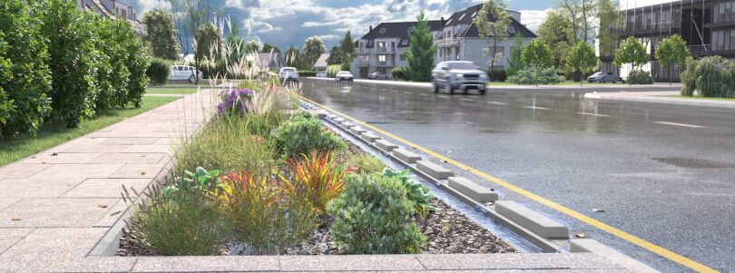 Rain garden beside a road designed to manage surface water runoff
