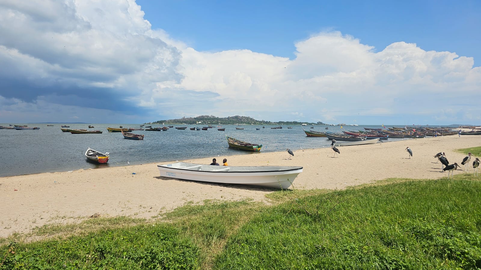 Fishing boats on a sandy lakeshore with marabou storks, a white boat in the foreground and a hilly island under clouds