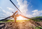 Drip irrigation system with tubing and emitters delivering water to plants.