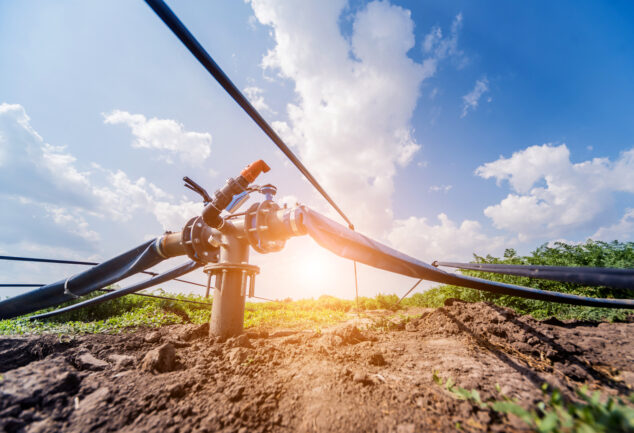Drip irrigation system with tubing and emitters delivering water to plants.