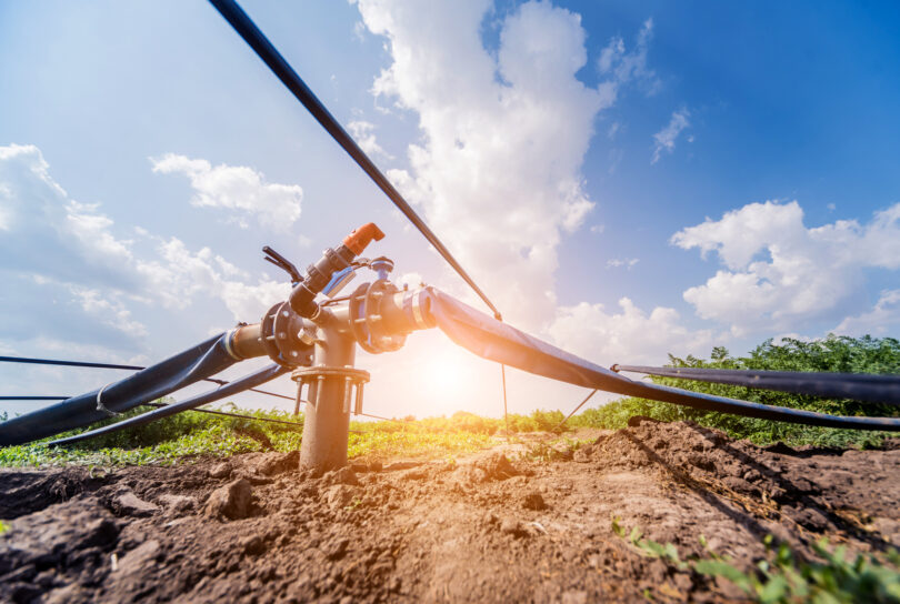 Drip irrigation system with tubing and emitters delivering water to plants.