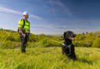 Black specialist leak detection dog wearing a harness with its handler in high-visibility clothing in the Devon and Cornwall countryside