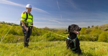 Black specialist leak detection dog wearing a harness with its handler in high-visibility clothing in the Devon and Cornwall countryside