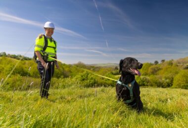 Black specialist leak detection dog wearing a harness with its handler in high-visibility clothing in the Devon and Cornwall countryside