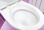 Photo of a toilet.