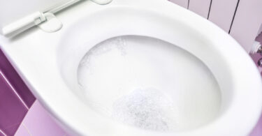 Photo of a toilet.