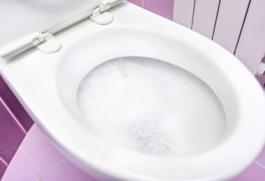 Photo of a toilet.