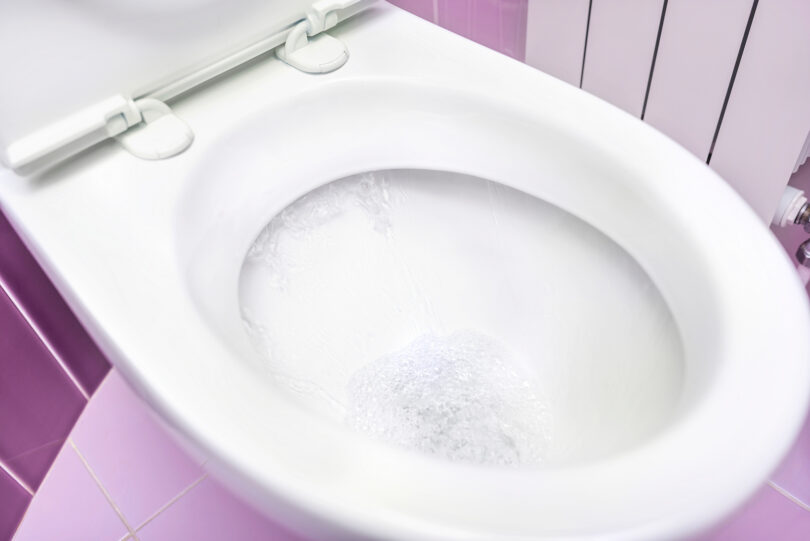 Photo of a toilet.