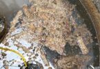 Looking down into a wet well where a mass of fatty, debris-laden clumps floats around a submersible pump and yellow hose