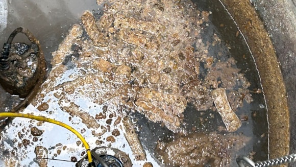 Looking down into a wet well where a mass of fatty, debris-laden clumps floats around a submersible pump and yellow hose